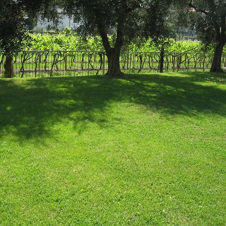 Casa Carla Aparthotel Torbole Sul Garda Exterior foto